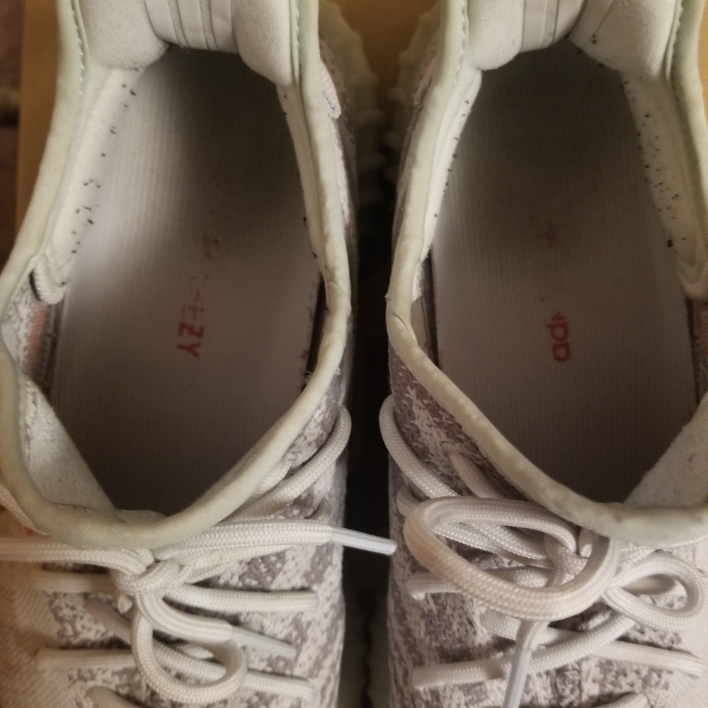 Certified Yeezy Blue Tint